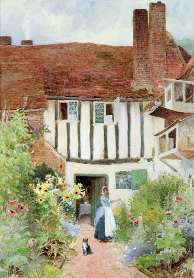 Schmetterlinge von Arthur Claude Strachan